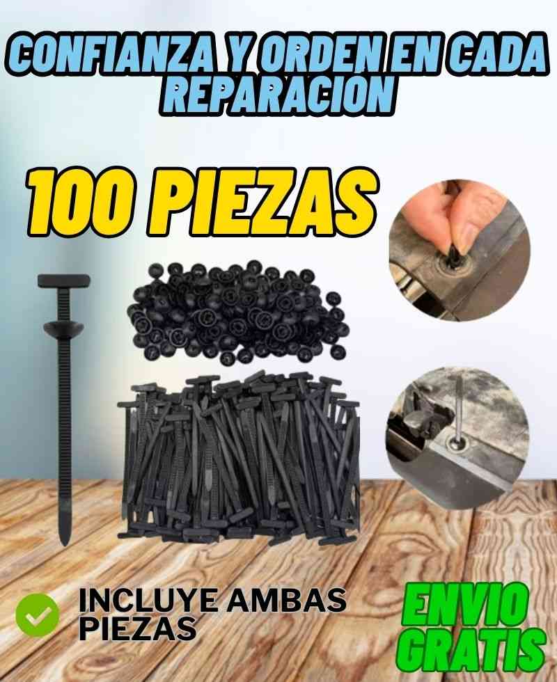 Bridas para carro (100 Piezas)
